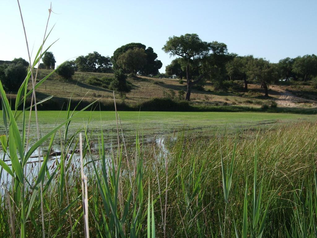 Herdades Da Ameira - Monte Do Arrozal Alcácer do Sal Kamer foto